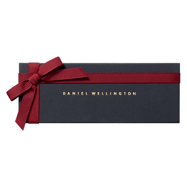 Daniel Wellington Classic 20 Bristol Silver Watch Band