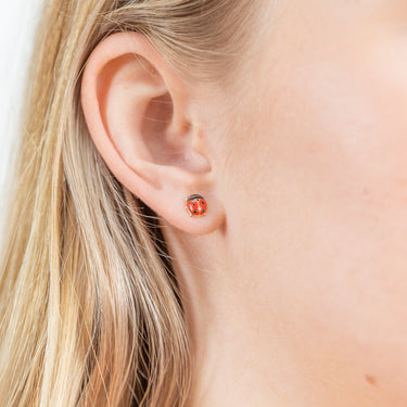 9ct Yellow Gold Lucky Ladybird Stud Earrings