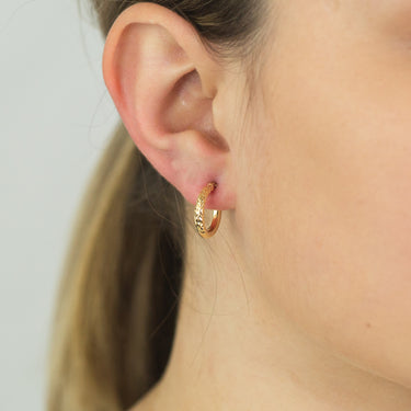 9ct Yellow Gold Diamond Cut Hoop earrings