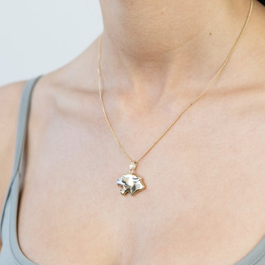 9ct Yellow And White Gold Double Sided Tiger Pendant