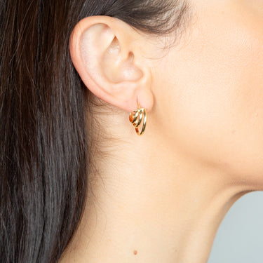 9ct Yellow Gold Gradient Hoop Earrings