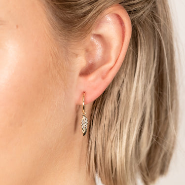 9ct Yellow Gold Feather on 12mm Sleeper Earrings