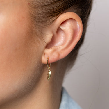 9ct Yellow Gold Polished Feather On 1.2 X12mm Hoop Earrings