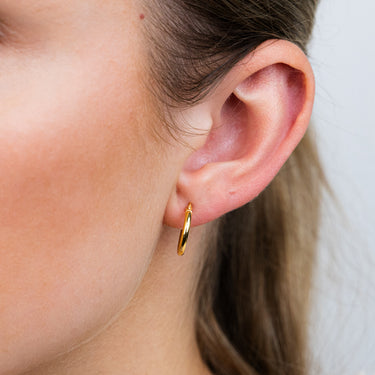 9ct Yellow Gold Polished 10mm Hoop Earrings