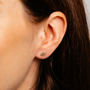 Turtle Stud Earrings in 9ct Yellow Gold