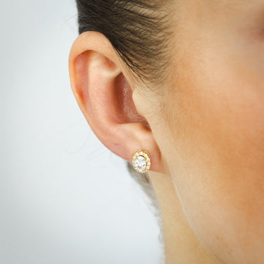 Zirconia Stud Earrings in 9ct Yellow Gold