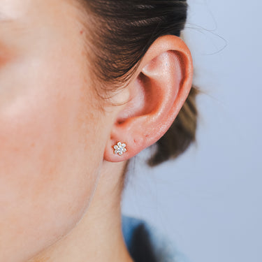 Zirconia Stud Earrings in 9ct Yellow Gold