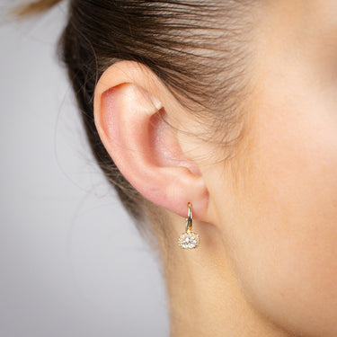 Zirconia Drop Earrings in 9ct Yellow Gold