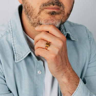 Tiger Eyes Gents Ring in 9ct Yellow Gold