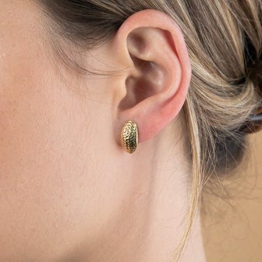 9ct Yellow Gold Silver Filled Patterned broad front Hoop Earrings