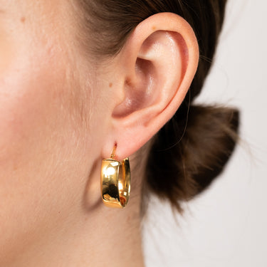 9ct Yellow Gold Polished Oval Hoop Earrings