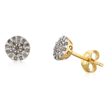 0.20 Carat Natural Diamond Stud Earrings in 9ct Yellow Gold
