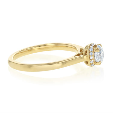 1/2 Carat Diamond Halo Ring in 9ct Yellow Gold