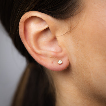 1/3 Carat Diamond Solitaire Stud Earrings in 9ct Yellow Gold