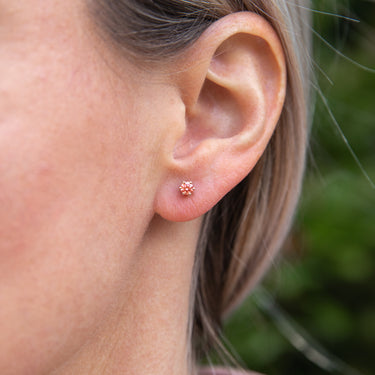 Luminesce Lab Grown Pink Diamond Solitaire Studs in 9ct Rose Gold