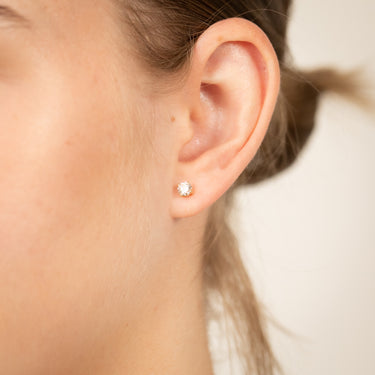 Luminesce Lab Grown 1/2 Carat Diamond Solitaire Earrings in 14ct Yellow Gold