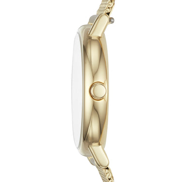 Skagen Signatur Lille Slim SKW2693