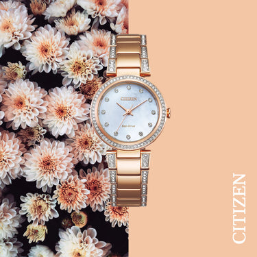 Citizen Eco-Drive EM0843-51D