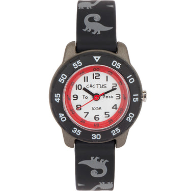 Cactus Time Teacher CAC124M01 Dinosaur