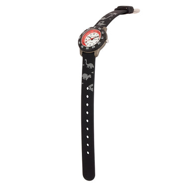 Cactus Time Teacher CAC124M01 Dinosaur