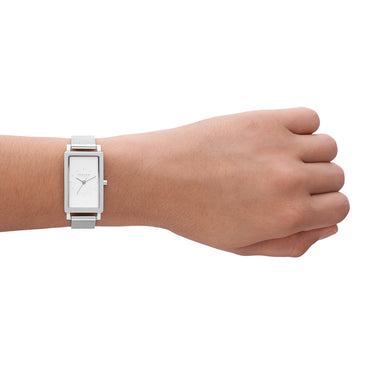 Skagen SKW3096 Hagen Silver Tone Ladies Watch