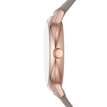 Skagen Signatur Lille SKW3060