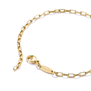 Thomas Sabo CC Connect Cable Yellow Gold-Plated Chain Bracelet