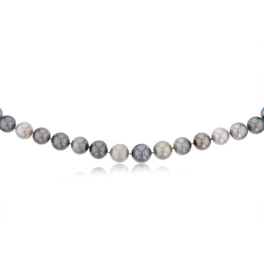 12-14.2mm Tahitian Pearl Multicolour Strand with 14ct White Gold Stardust Ball Clasp