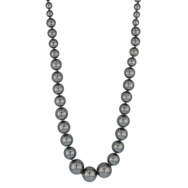 Black Mother of Pearl Graduated Necklace 48cm with Sterling Silver Clasp