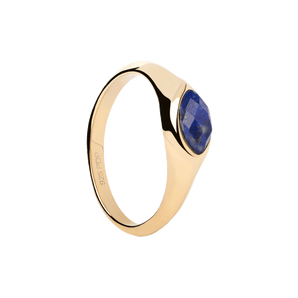 Nomad Lapis Lazuli Stamp Ring  Size 18