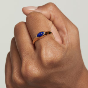 Nomad Lapis Lazuli Stamp Ring  Size 10