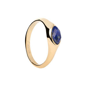 Nomad Lapis Lazuli Stamp Ring  Size 16