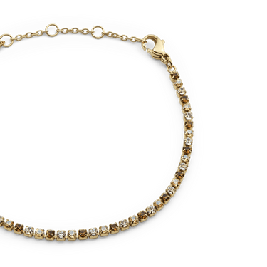 Daniel Wellington Classic Tennis Bracelet Honey Combo Gold