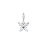 THOMAS SABO Charm - Ice Jewellery Australia