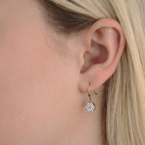 Ice Jewellery Cluster Hook Diamond Earrings with 0.75ct Diamonds in 9K Yellow Gold - 9YSH75GH | Ice Jewellery Australia