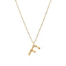 Amber Sceats Letter Necklace - F - ASN1134G-F | Ice Jewellery Australia