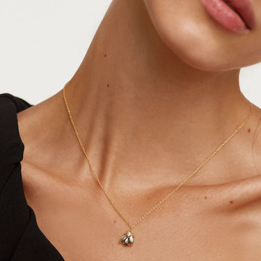 PDPaola Gold Necklace - Ice Jewellery Australia