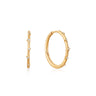 Ania Haie 14kt Gold Earrings - Ice Jewellery Australia
