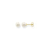 THOMAS SABO Ear Studs Pearl Gold -  H1430-430-14 | Ice Jewellery Australia