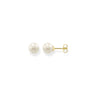 THOMAS SABO Ear Studs Pearl Gold -  H1431-430-14 | Ice Jewellery Australia