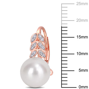 Pearl Earrings - Ice Jewellery Australia