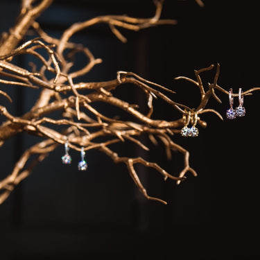 Georgini Luxe Regale Earrings Silver - IE942W | Ice Jewellery Australia