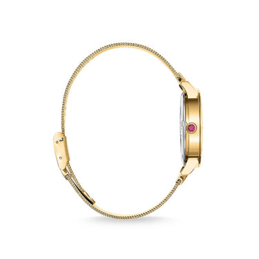 THOMAS SABO Women's Watch Dragonfly Gold -  WA0369-264-211-33 MM | Ice Jewellery Australia