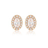 Georgini Aurora Glow Earrings Rose Gold - IE973RG | Ice Jewellery Australia